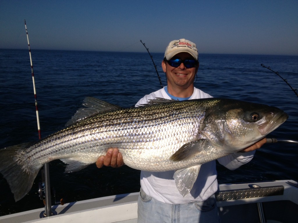 Virginia Striper Fishing Charters - Chesapeake Bay Charter Fishing