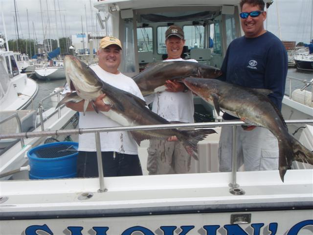 https://www.captainhoggscharters.com/fishing/wp-content/uploads/2010/07/3-fat-fish-with-3-fat-guys-small.jpg
